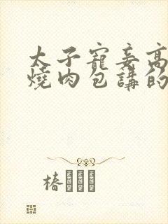 太子宠妾高肉红烧肉包讲的什么