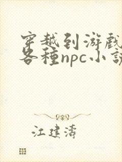 穿越到游戏里和各种npc小说