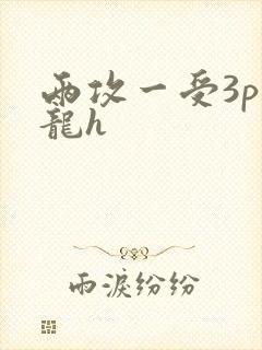 两攻一受3p双龙h