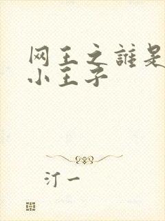 网王之谁是我的小王子
