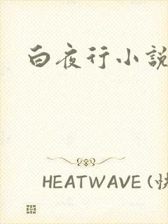 白夜行小说下载