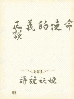 正义的使命 小说