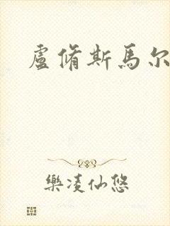 《卢修斯马尔福》小说封面