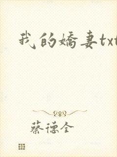 我的娇妻txt