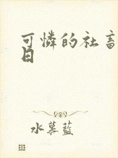 可怜的社畜东度日