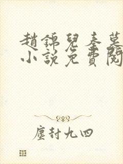 赵锦儿秦慕修的小说免费阅读全文封面