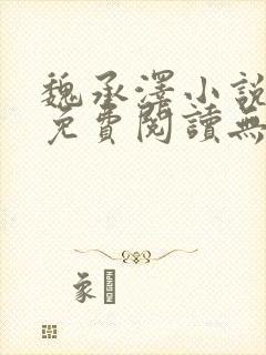 魏承泽小说全文免费阅读无弹窗笔趣