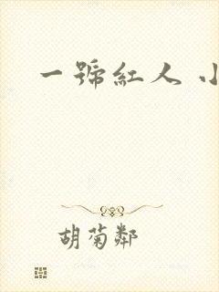 一号红人 小说