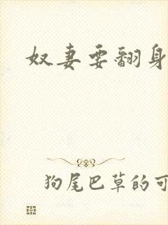 奴妻要翻身