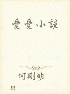 爱爱小说