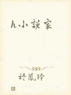 h小说家