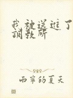 我被送进了私奴调教所