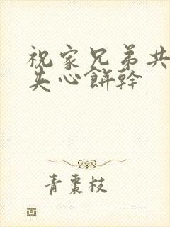 祝家兄弟共享后夹心饼干