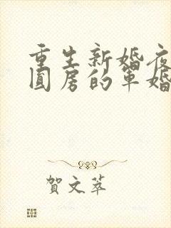 重生新婚夜正在圆房的军婚