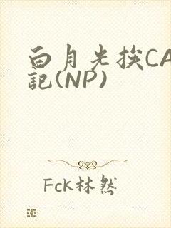 白月光挨CAO记(NP)