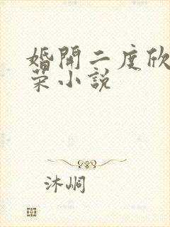 婚开二度欣欣向荣小说