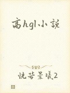 高hgl小说封面