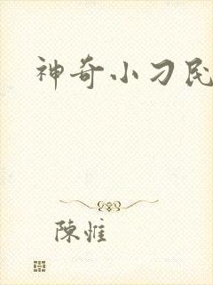 神奇小刁民