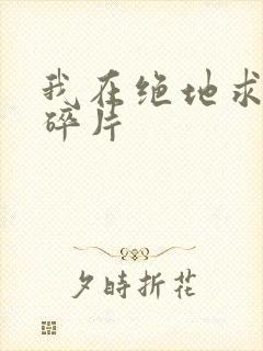 我在绝地求生捡碎片