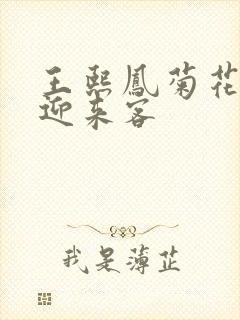 王熙凤菊花门初迎来客