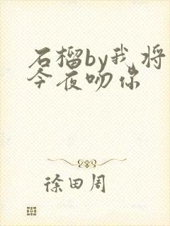 石榴by我将在今夜吻你