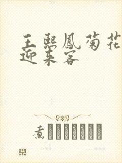 王熙凤菊花门初迎来客