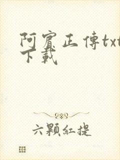 阿宾正传txt下载