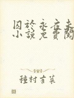 囚于永夜未删减小说免费阅读