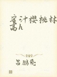 蜜汁樱桃林妙妙高h