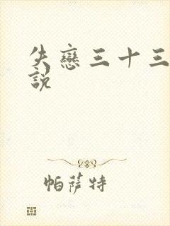 失恋三十三天小说