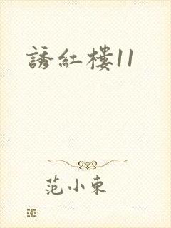 诱红楼11