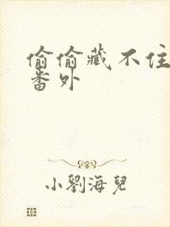 偷偷藏不住新婚番外