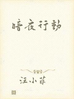暗夜行动