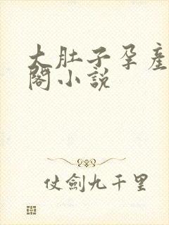 大肚子孕产笔趣阁小说