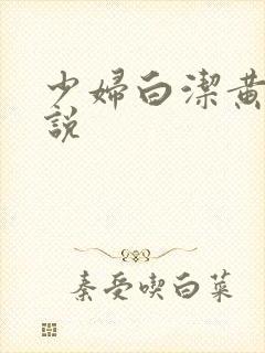 少妇白洁黄色小说