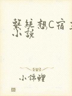 系统想C宿主的小说