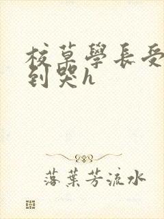 校草学长受被做到哭h