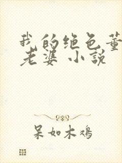 我的绝色董事长老婆 小说