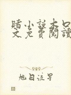 赌小说木口银全文免费阅读笔趣阁