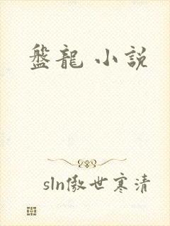 盘龙 小说