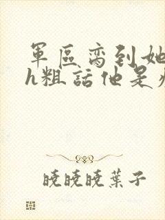 军区脔到她哭hh粗话他是疯批