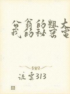 公翁的粗大放进我的秘密电影