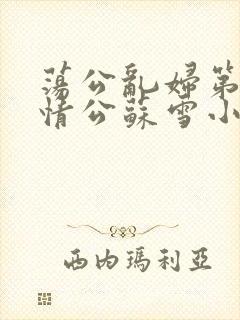 荡公乱妇第1章情公苏雪小说