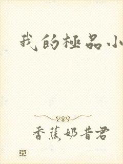 我的极品小姨