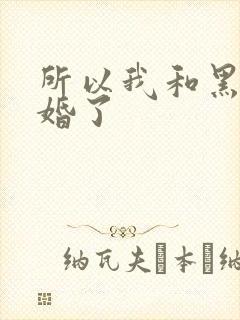 所以我和黑粉结婚了