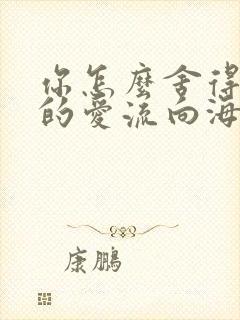 你怎么舍得让我的爱流向海