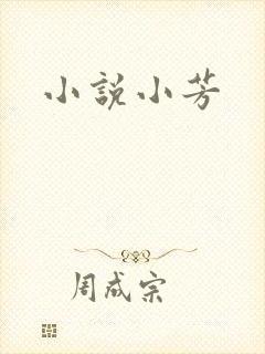 小说小芳