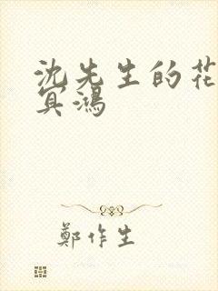 沈先生的花式调冥鸿