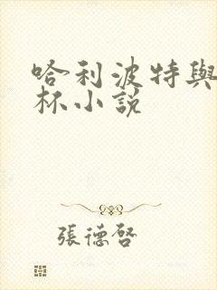 哈利波特与火焰杯小说