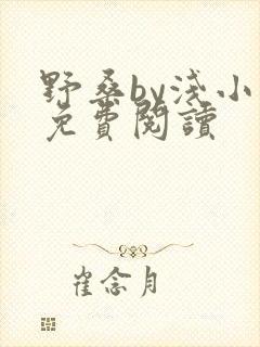 野桑by浅小说免费阅读